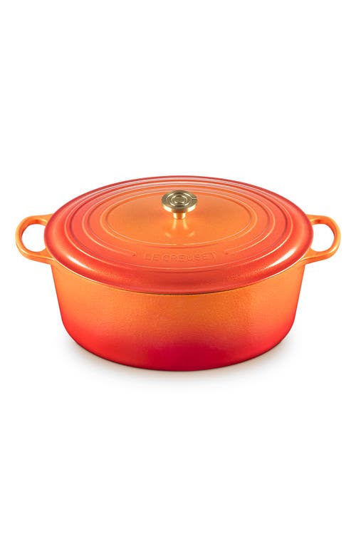 Le Creuset Signature 15.5-quart Oval Enamel Cast Iron Dutch Oven In Orange