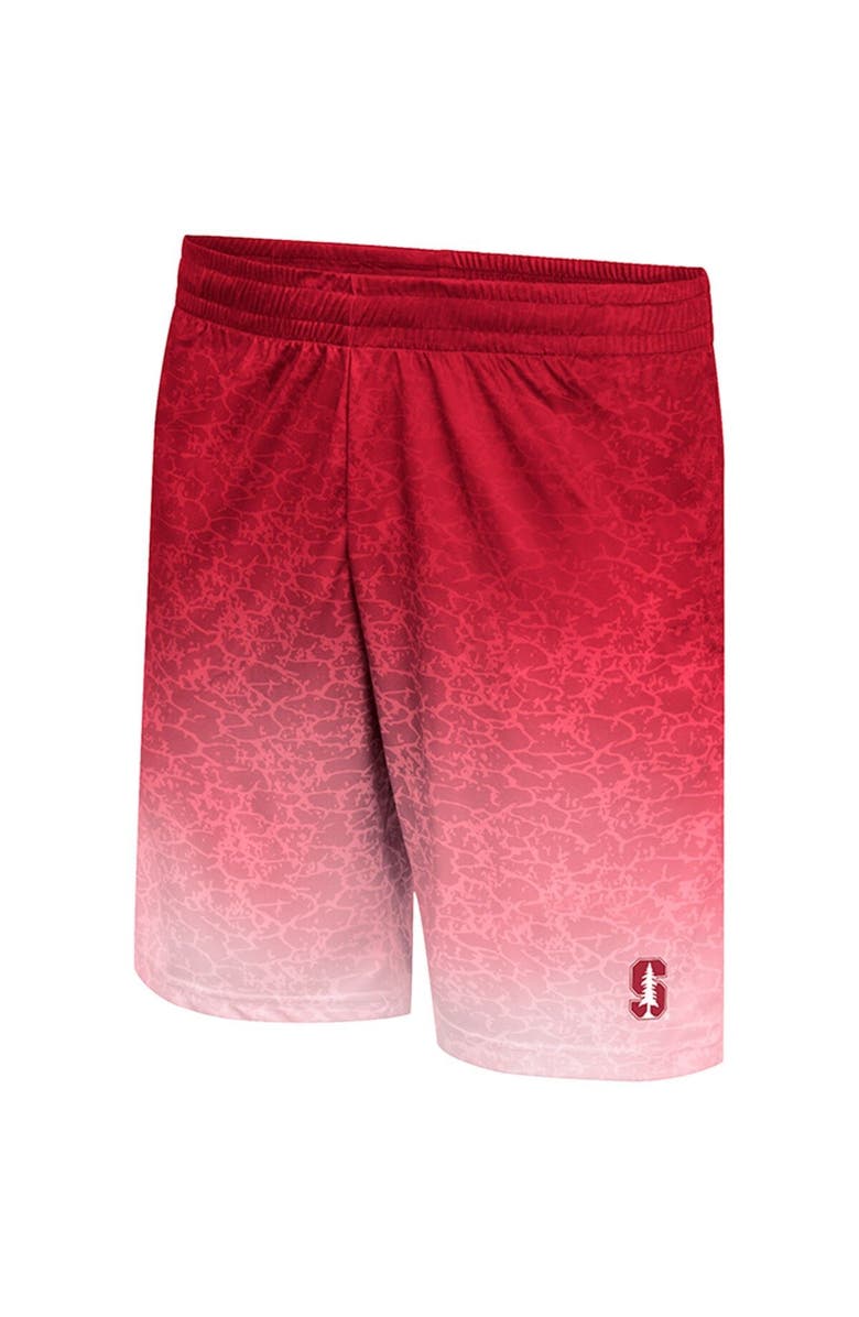 COLOSSEUM Men's Colosseum Cardinal Stanford Cardinal Walter Shorts, Alternate, color, 