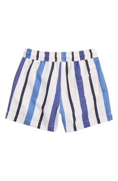 Pacsun Kids' Stripe Board Shorts In Blue/white Stripe