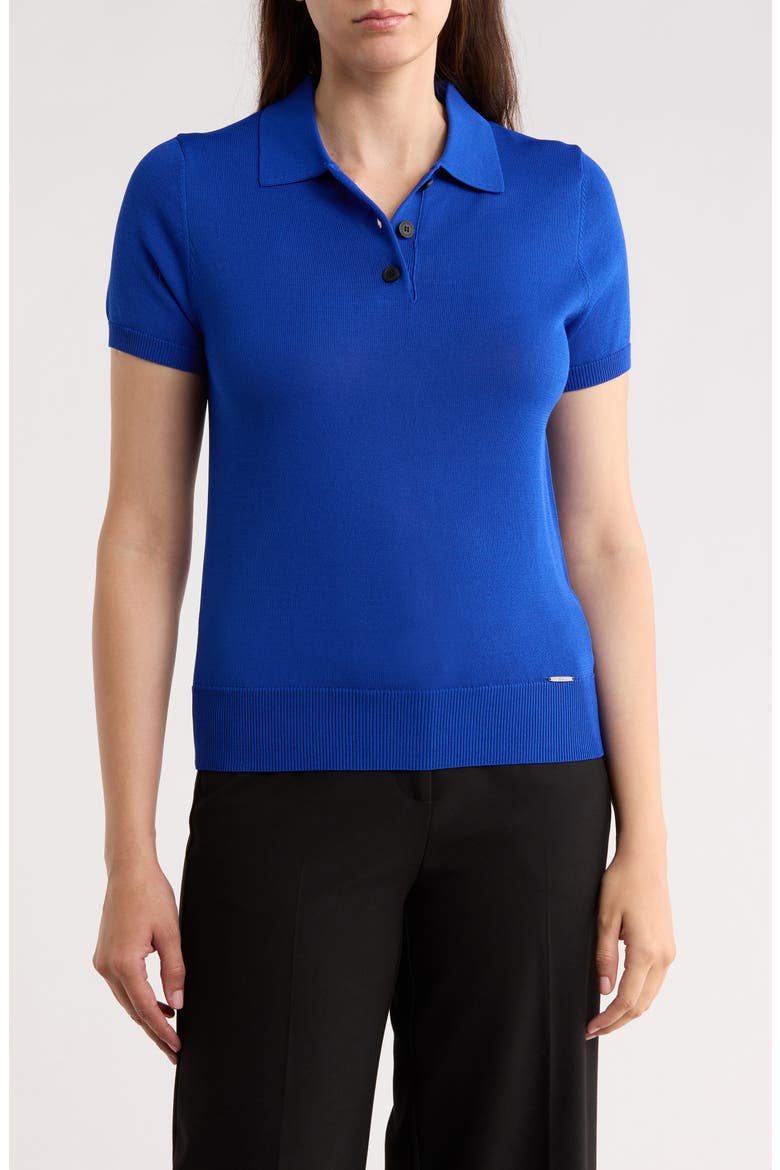 Polo Sweater, Main, color, ROYAL BLUE