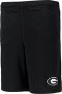 Nike Youth Nike Black Georgia Bulldogs Performance Fly Shorts
