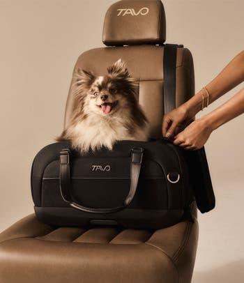 Dupree II Airline Carry-on Pet Car Seat
