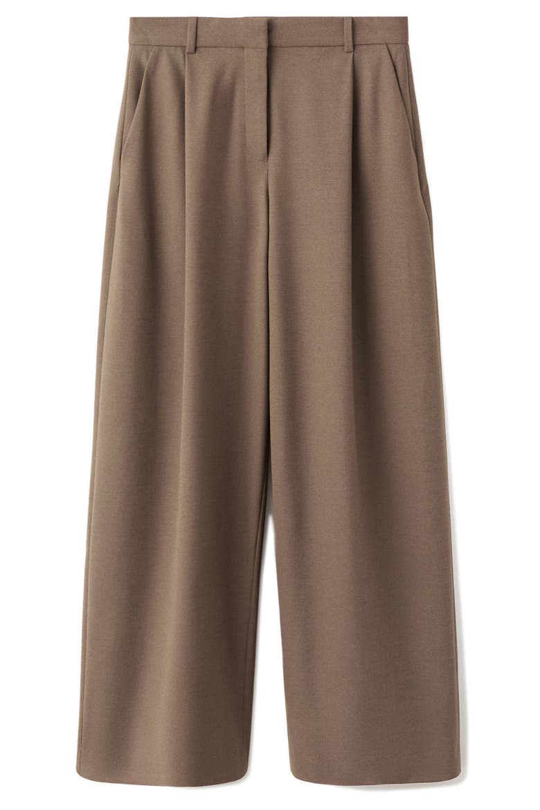 Selection Pleated Wide Leg Pants, Alternate, color, MEDIUM BROWN
