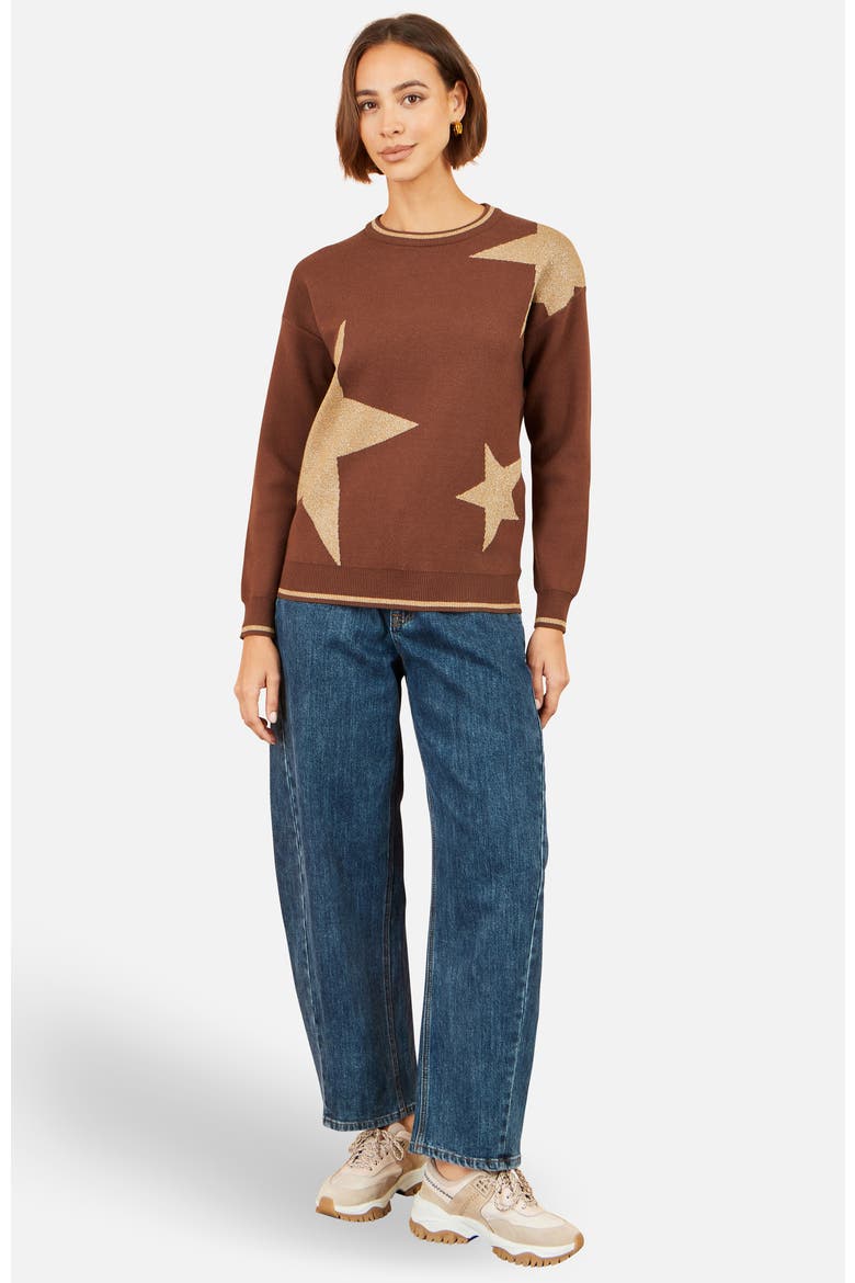 Star Relaxed Jumped With Sparkle, Alternate, color, Brown