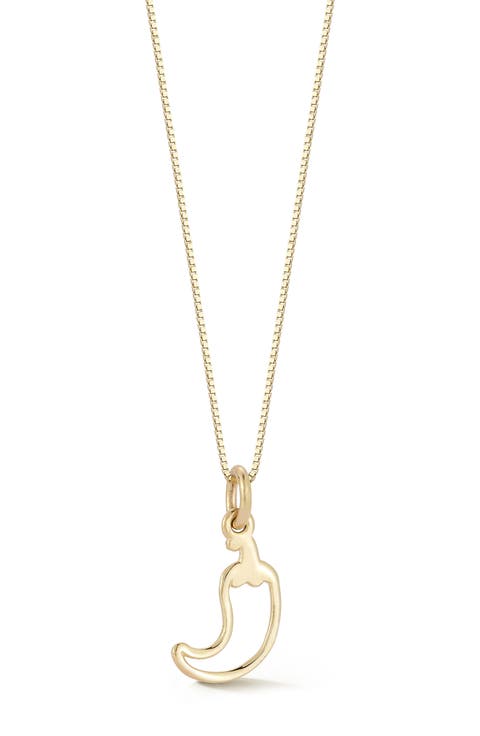 <p>14K Gold Chili Pepper Pendant Necklace</p>