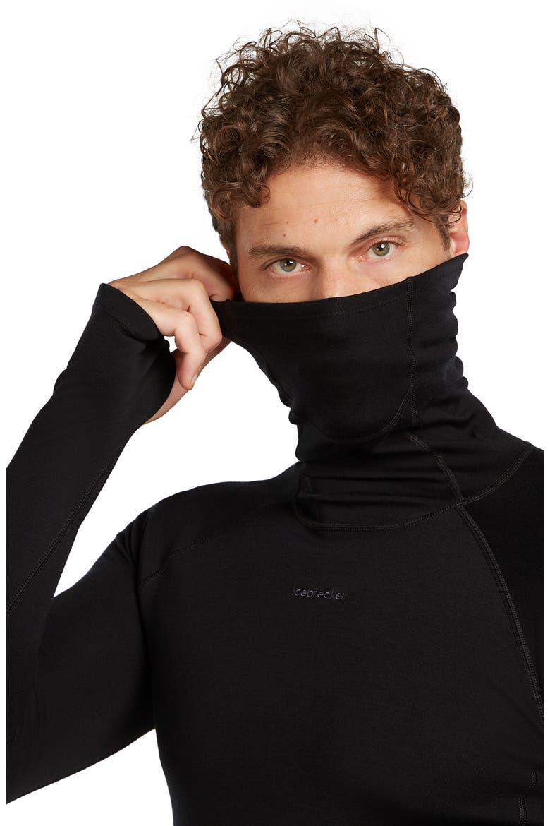 300 Polar MerinoFine Turtleneck Top, Alternate, color, BLACK