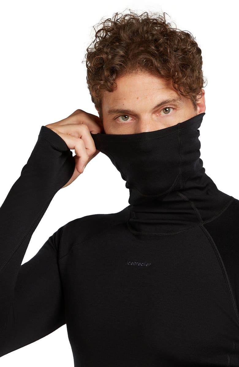 Icebreaker 300 Polar MerinoFine Turtleneck Top, Alternate, color, Black
