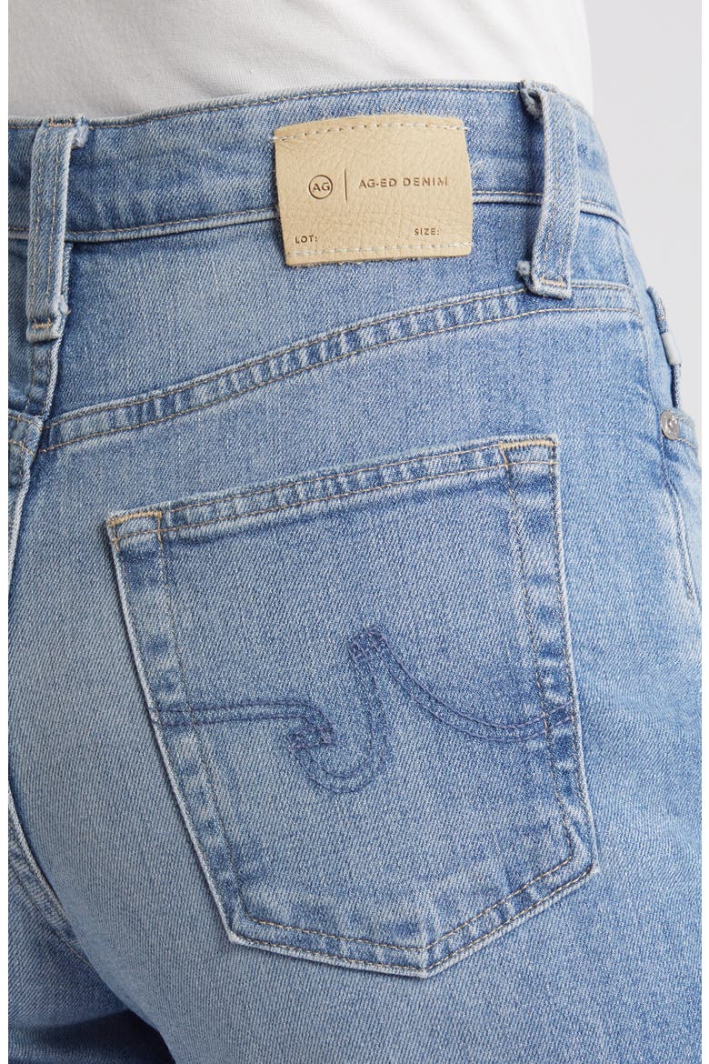 Rian High Waist Ankle Straight Leg Jeans, Alternate, color, 22 YEARS PALMA