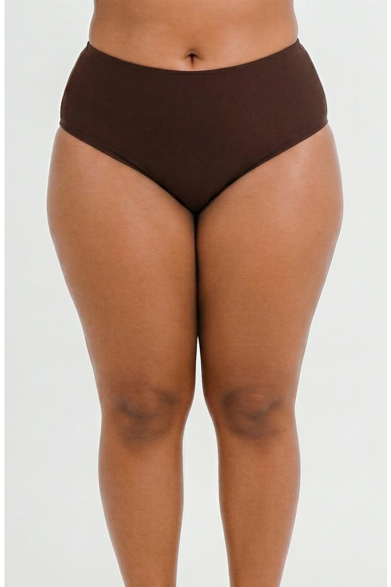 Plus Size High-Waisted Bikini Bottom, Main, color, Chocolate Brown