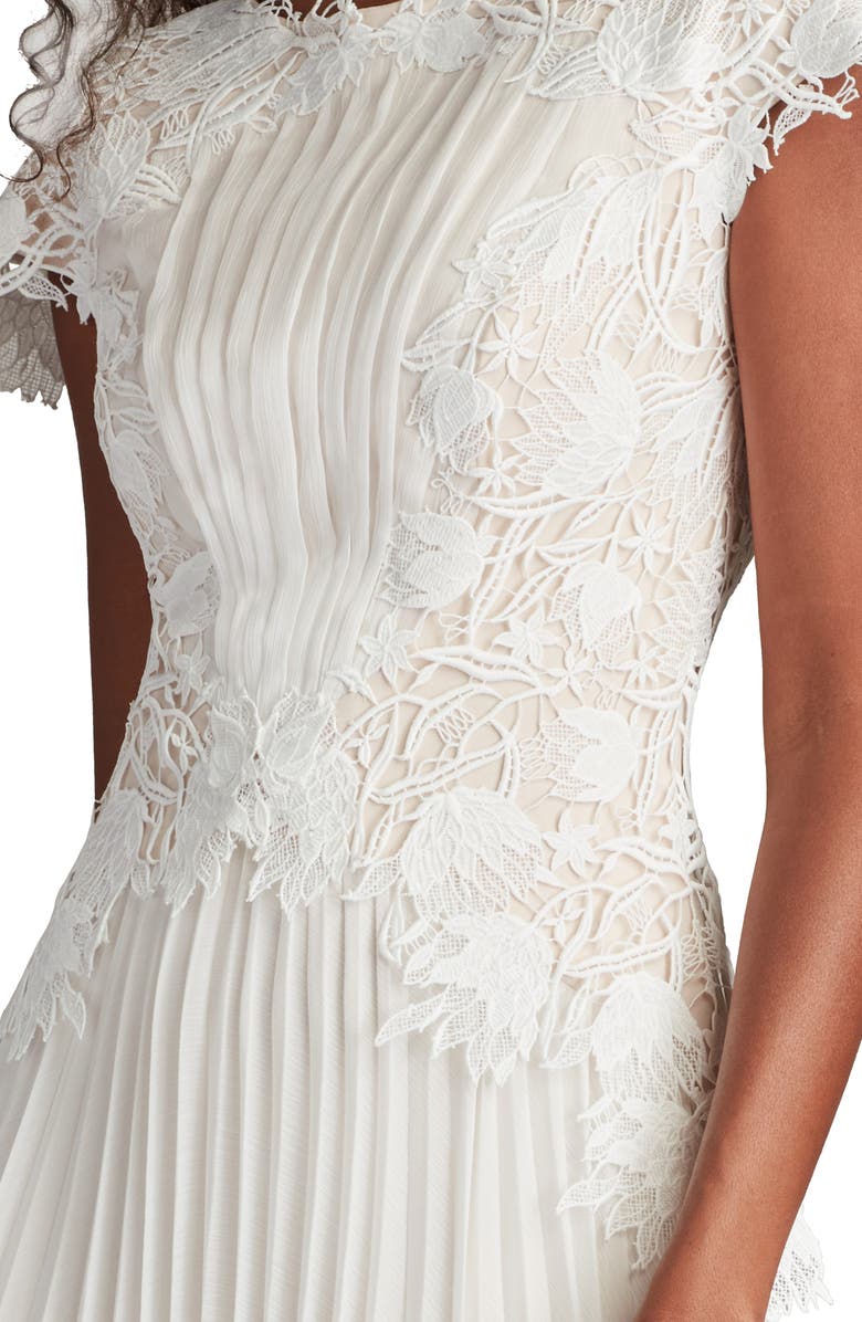 Tadashi Shoji Embroidered Lace Cap Sleeve Gown, Alternate, color, Ivory/ Petal