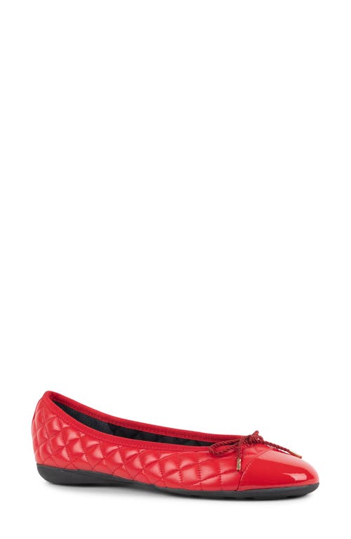 PAUL MAYER Best Cap Toe Quilted Ballet Flat in Red  product