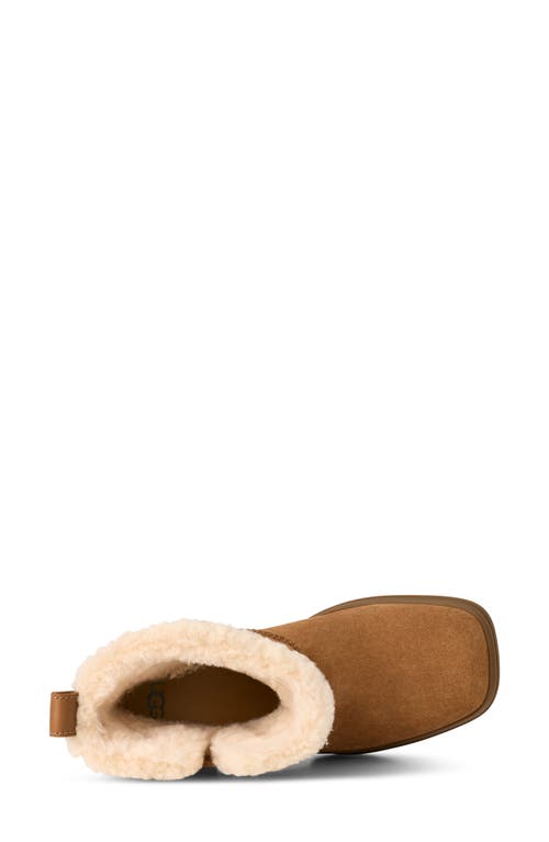 Ugg(r) Moxy Genuine Shearling Trim Chelsea Boot In Brown