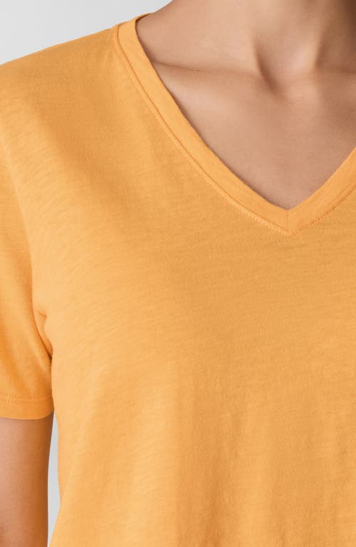 Eileen Fisher Easy V-neck Organic Cotton T-shirt