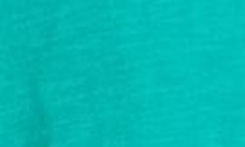 Eileen Fisher Easy V-neck Organic Cotton T-shirt In Jade