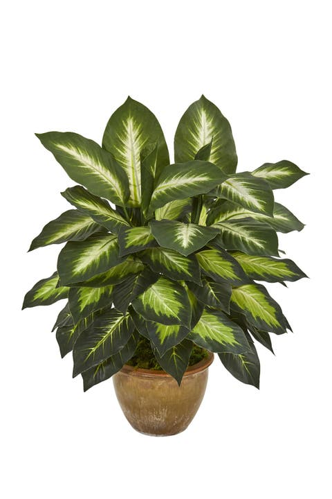 Dieffenbachia Artificial Plant in Ceramic Planter