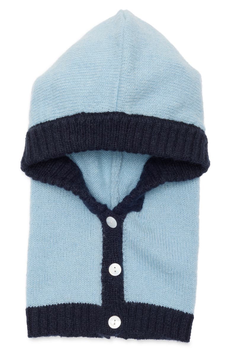 Damson Madder Button Through Hood, Main, color, Blue