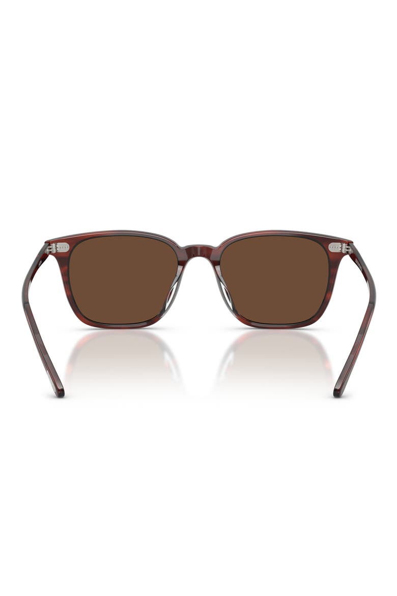52mm Laedin Polarized Square Sunglasses, Alternate, color, MORADO TORTOISE / TERRA POLAR