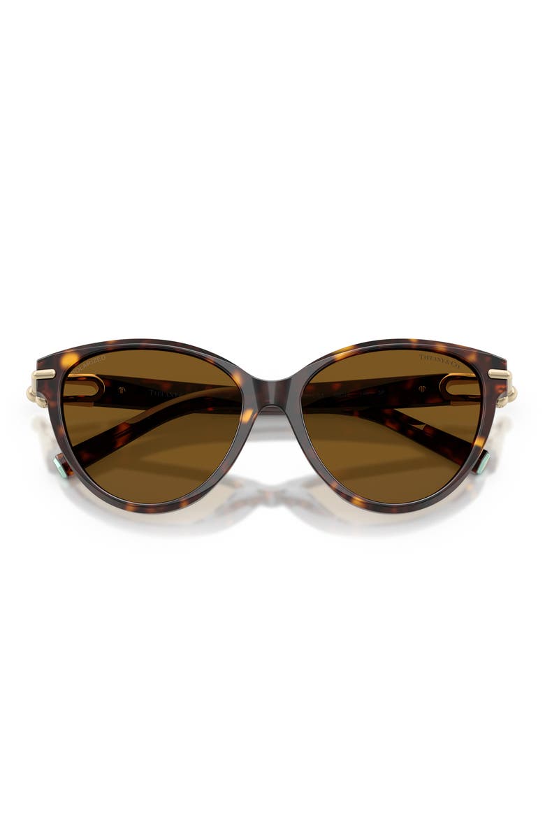 56mm Polarized Cat Eye Sunglasses, Alternate, color, HAVANA / DARK BROWN POLAR