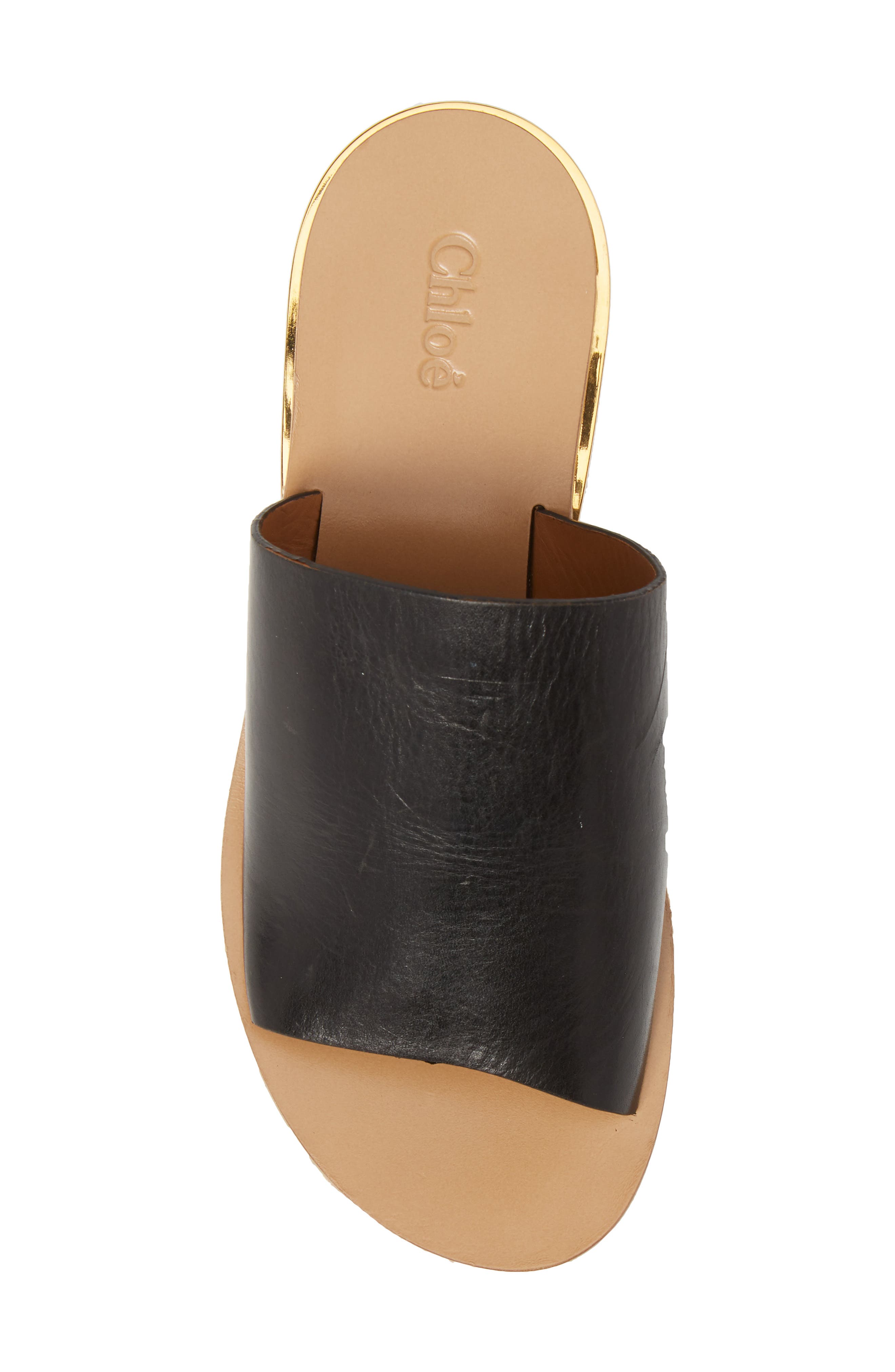 Chloé Camille Platform Slide Sandal, Alternate, color, 