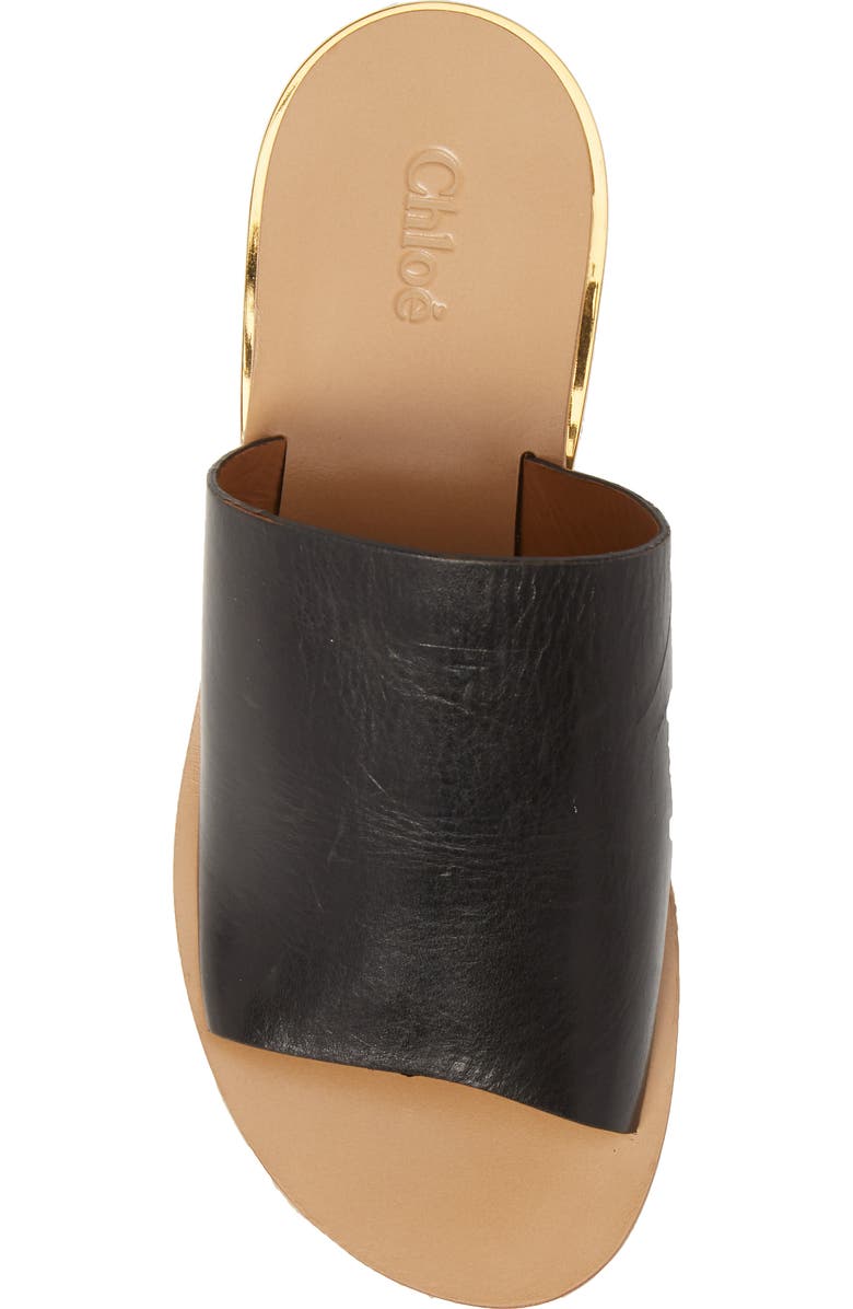 Chloé Camille Platform Slide Sandal, Alternate, color,