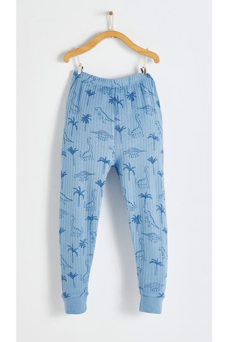 Premium Cotton Roar Snug Fit Long Pajama Set for Infant, Alternate, color, Blue