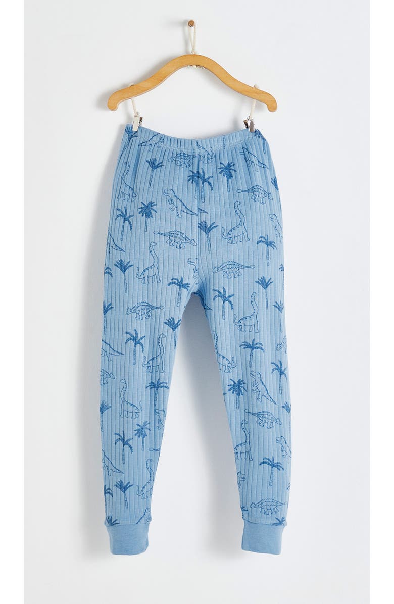 Babycottons Premium Cotton Roar Snug Fit Long Pajama Set for Toddler, Alternate, color, Blue