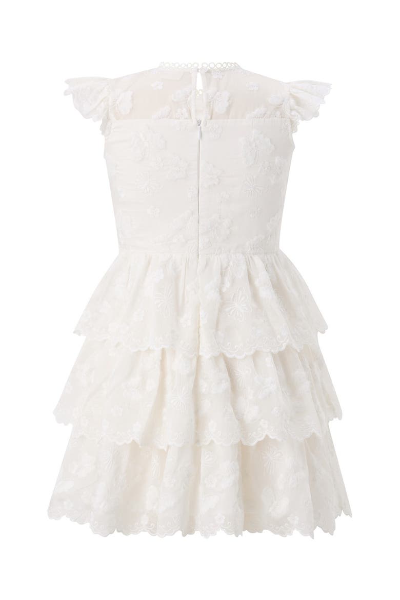 Alisha Frill Embroidered Mini Dress, Alternate, color, Creme