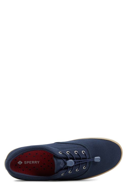 Sperry Top-sider® Sperry Fairlead Cvo Sneaker In Navy