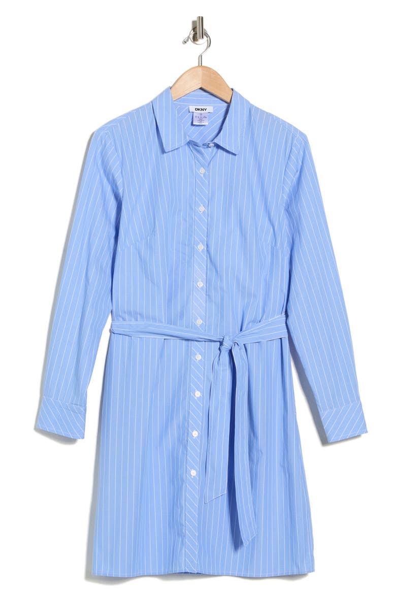 Stripe Long Sleeve Cotton Shirtdress, Alternate, color, AZURINE