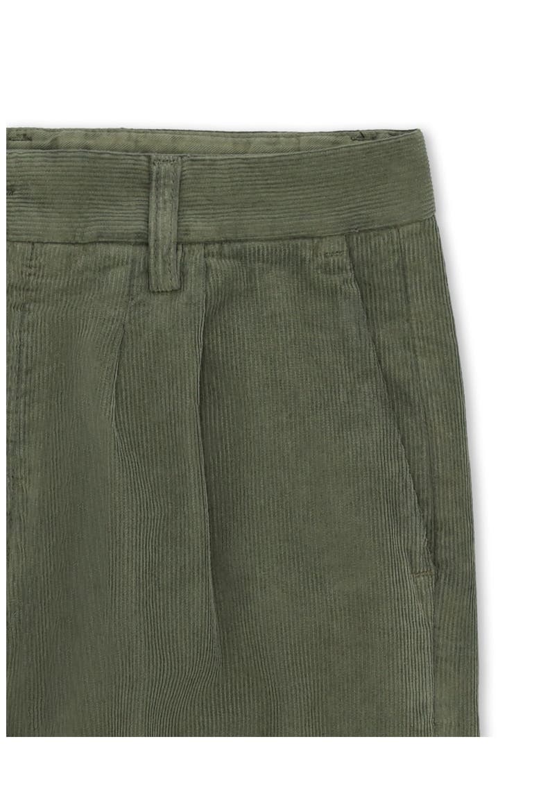 Pences Corduroy Pleated Trousers, Alternate, color, GREEN