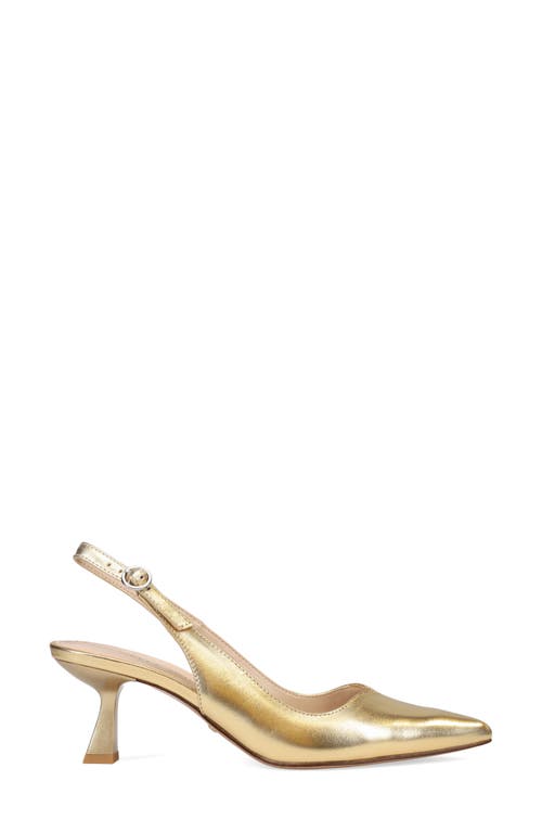 Pelle Moda Janah Slingback Pointed Toe Pump In Gold Leather