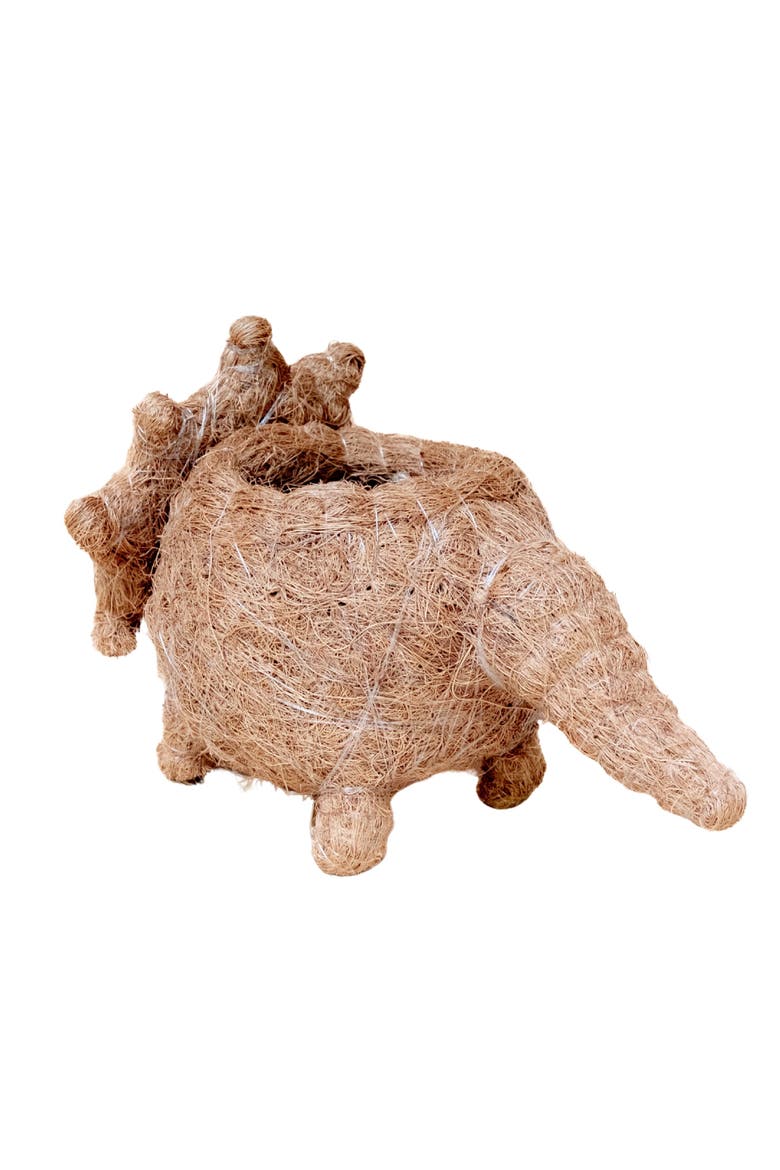 Dinosaur Coco Coir Planters, Alternate, color, Brown Baby Triceratops