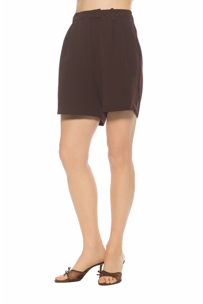 Dia High Waist Pleated Shorts, Alternate, color, BURGUNDY