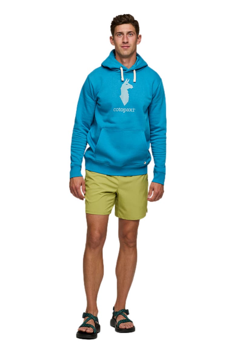 Llama Pullover Hoodie - Men's, Main, color, Lake