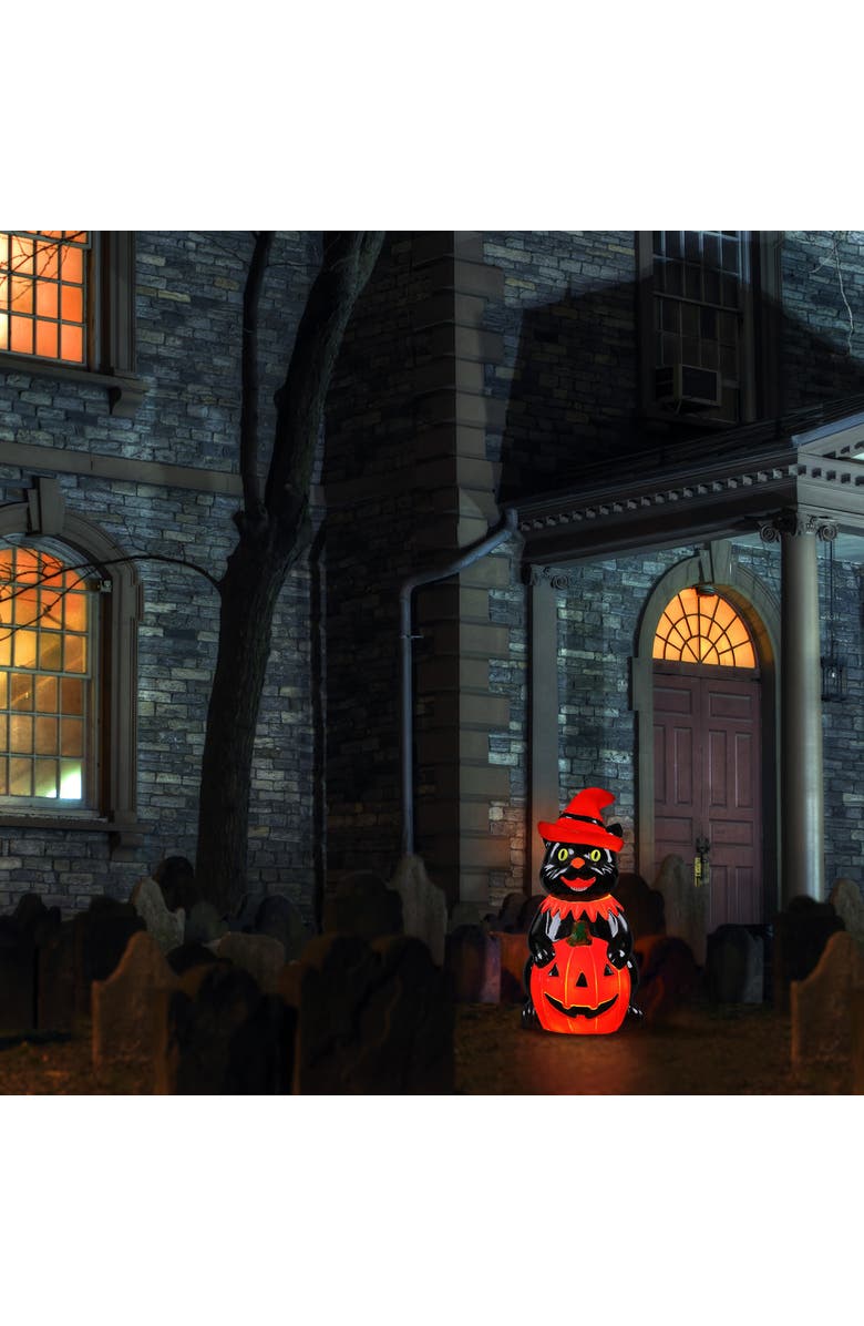 Mr. Halloween 18 in. Outdoor Cat Lit Blow Mold, Alternate, color, Multicolor