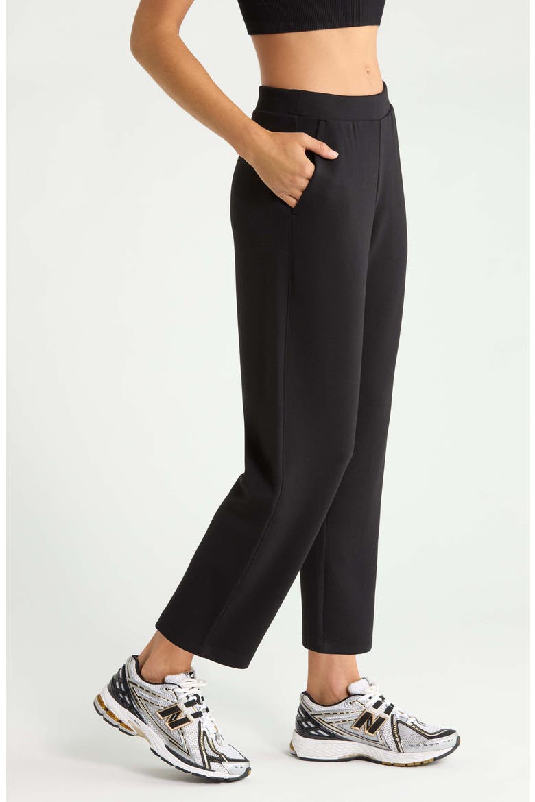 Soft Luxe Ankle Pants, Alternate, color, BLACK