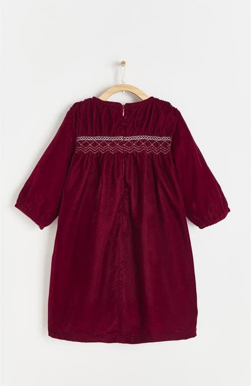 Babycottons Premium Cotton Christmas Lily Dress For Infant In Brown