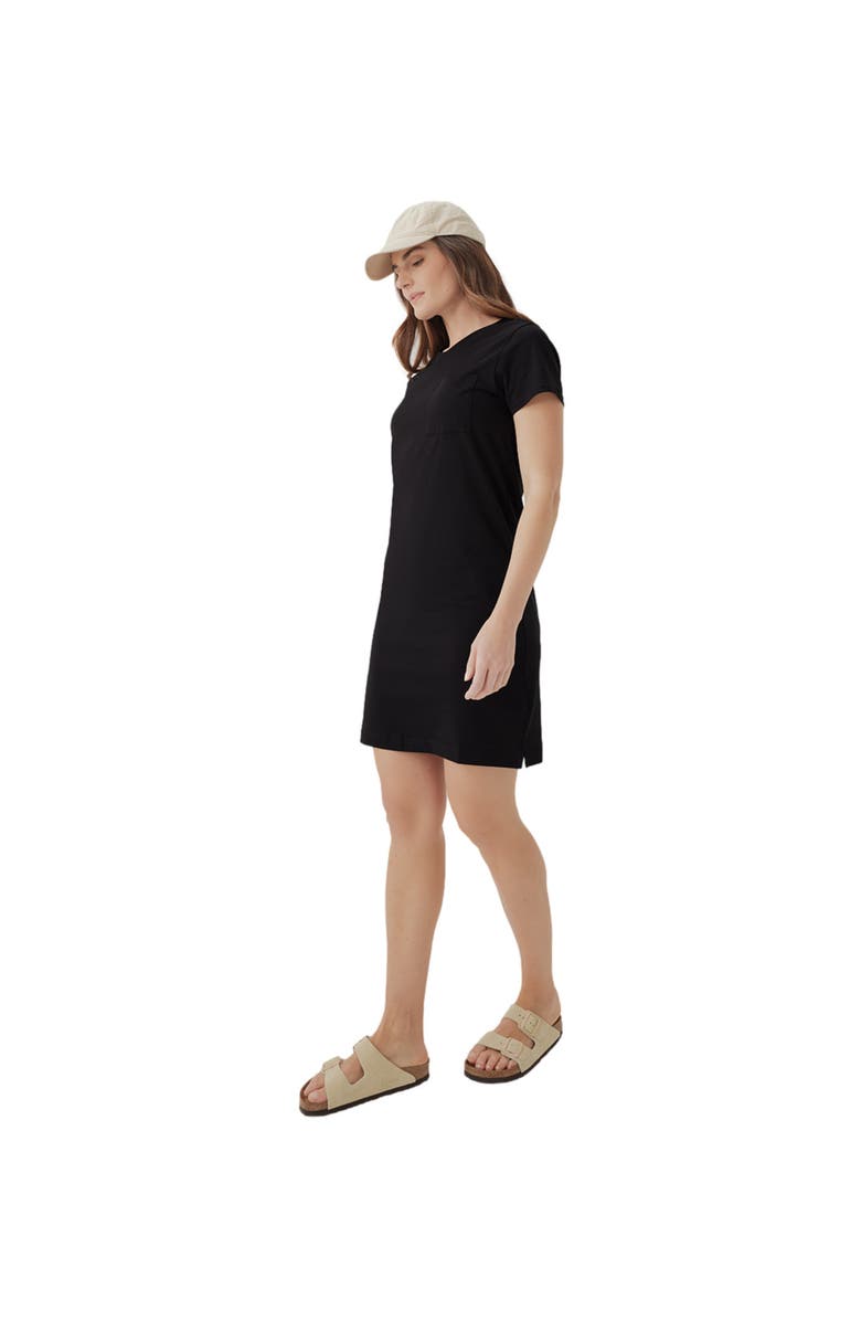 Pact Organic Softspun Tee Dress, Alternate, color, 