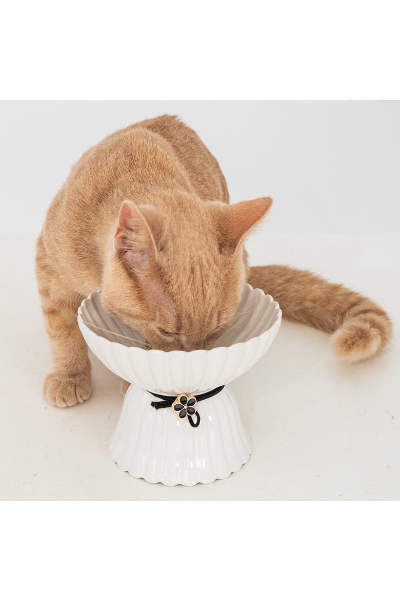 Elevated Ceramic Bowl For Cats 8.45oz Capacity, Alternate, color, White