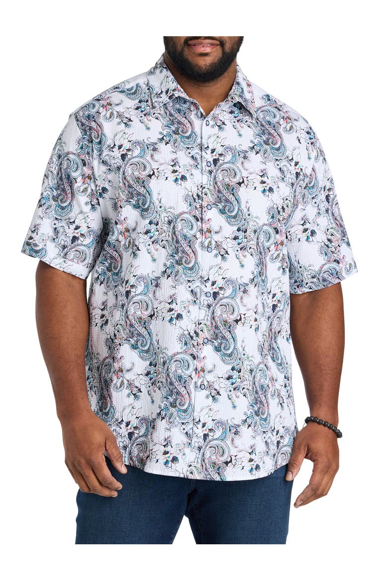 Big & Tall  Pickwick Sport Shirt, Main, color, MULTI