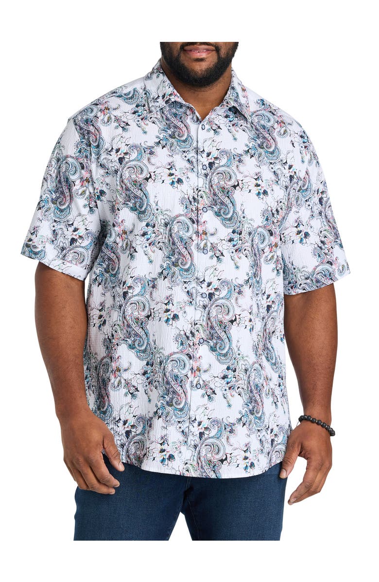 Robert Graham DXL Big & Tall  Pickwick Sport Shirt, Main, color, Multi