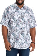 Robert Graham DXL Big & Tall  Pickwick Sport Shirt