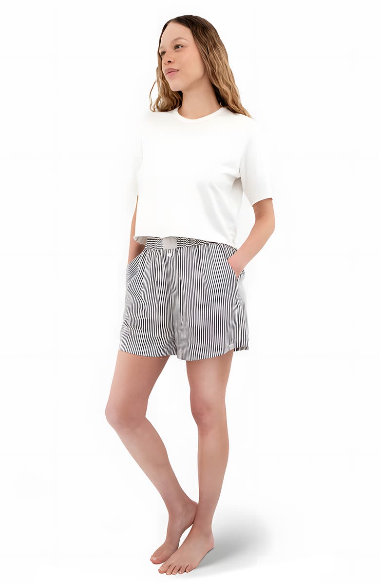 Sunday Citizen Stripe Boxer Shorts, Alternate, color, Navy/ White