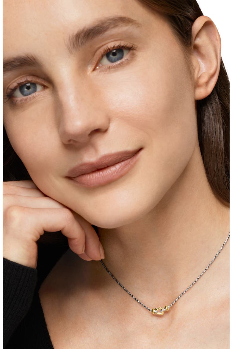 Petite Buckle Necklace in Sterling Silver with 14K Yellow Gold, 16.3mm, Alternate, color, NO COLOR
