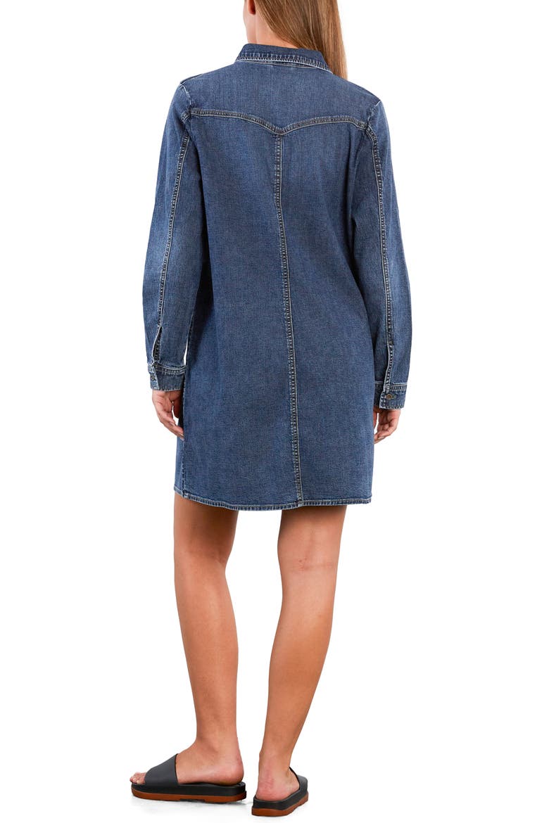 Lovely Ruffle Long Sleeve Denim Dress, Alternate, color, PETAL DENIM