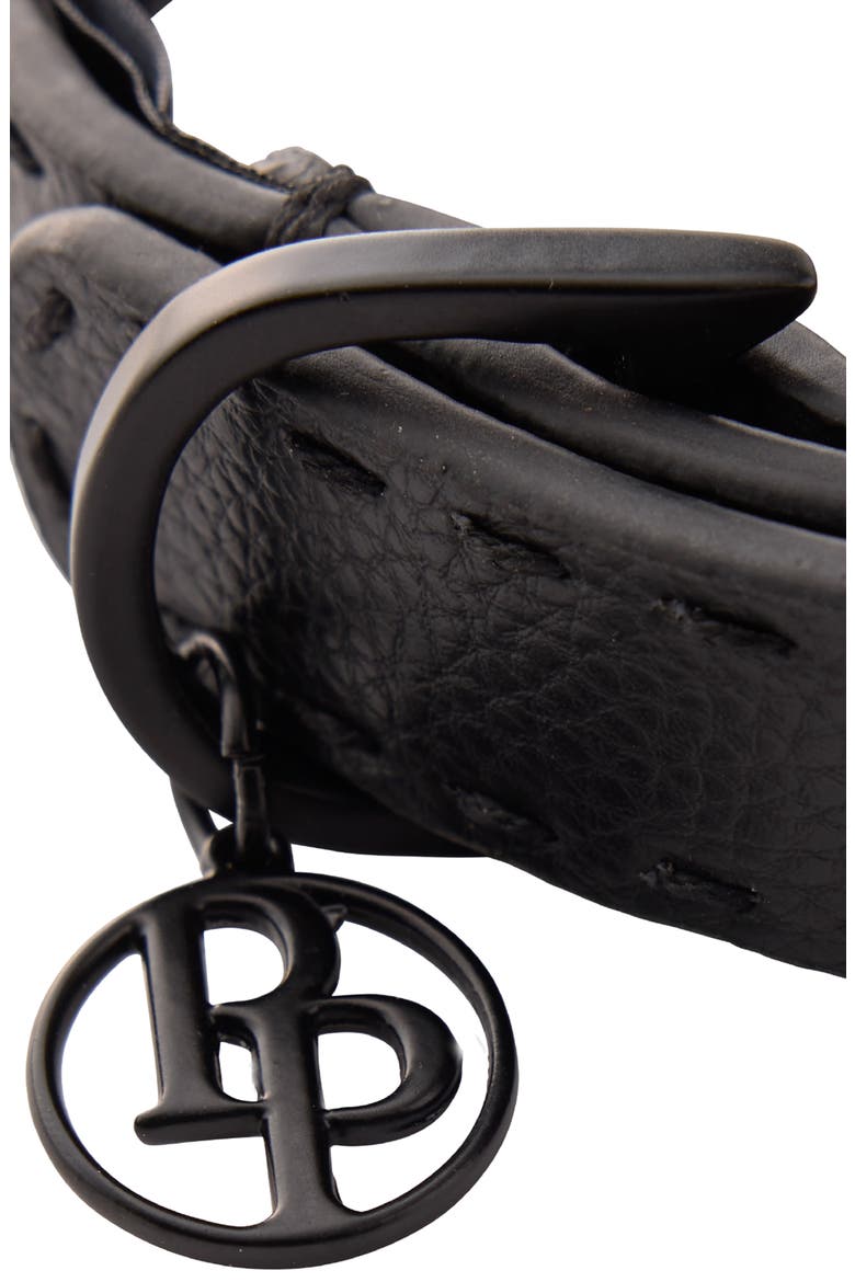 Rein Faux Leather Dog Collar, Alternate, color, BLACK BEAUTYDNU