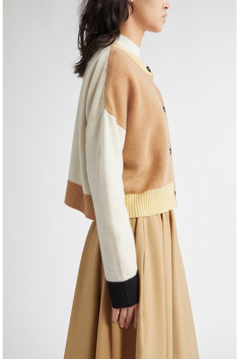 Colorblock Boxy Crop Cashmere Cardigan, Alternate, color, TAN