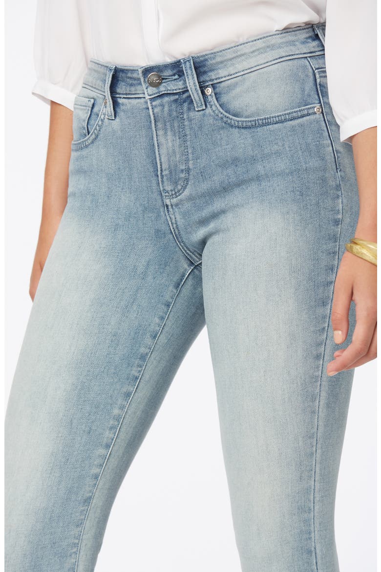Alina Ankle Legging Skinny Jeans, Alternate, color, CLEAN AFFECTION