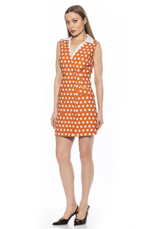 Alexia Admor Rune Vest Dress In Camel Polka