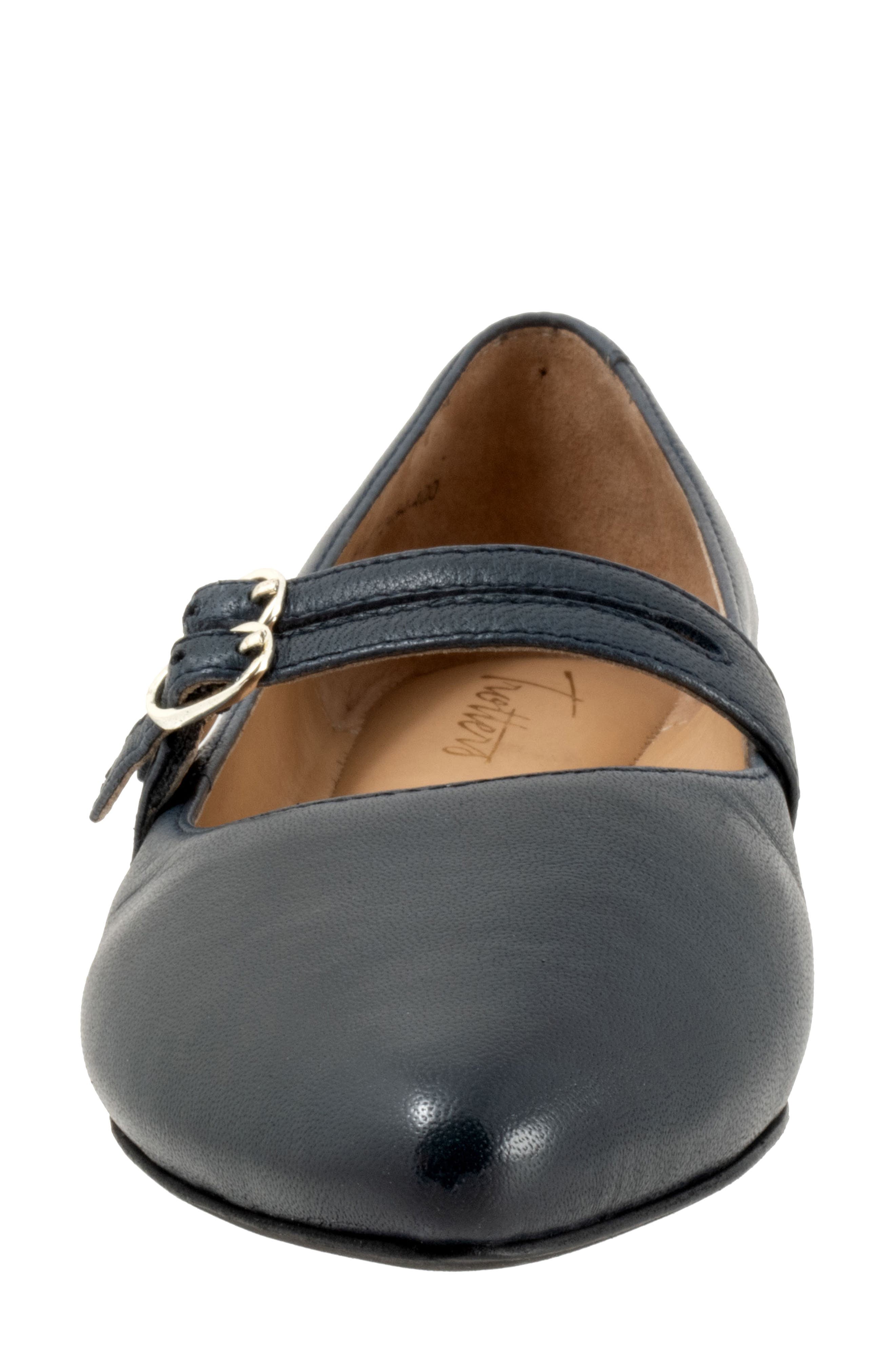 Emerald Pointed Toe Mary Jane Flat, Alternate, color, NAVY